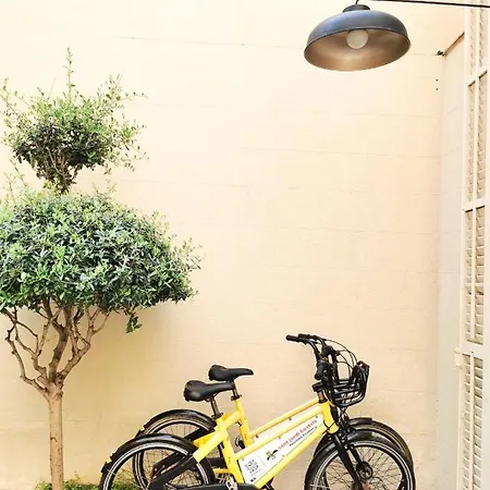 Sant Jordi Rock Palace *